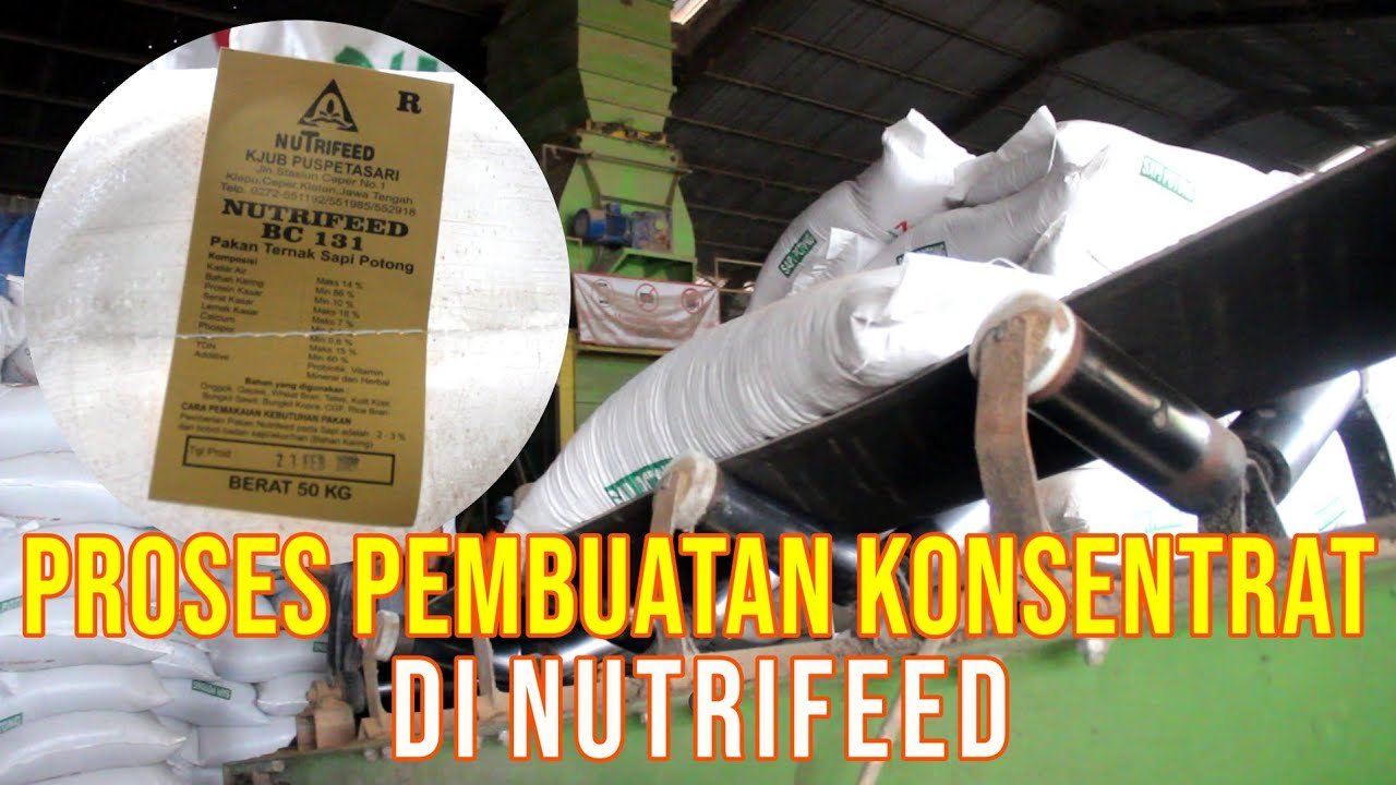 
                                 Proses-Produksi-Konsentrat-Nutrifeed